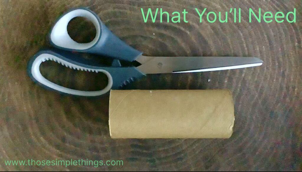 Scissors and a toilet roll inner tube