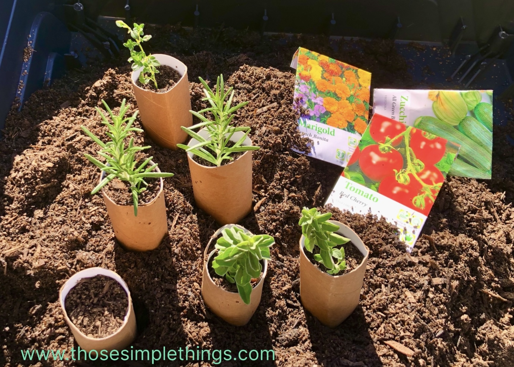 How to Make Toilet Roll Seedling Pots